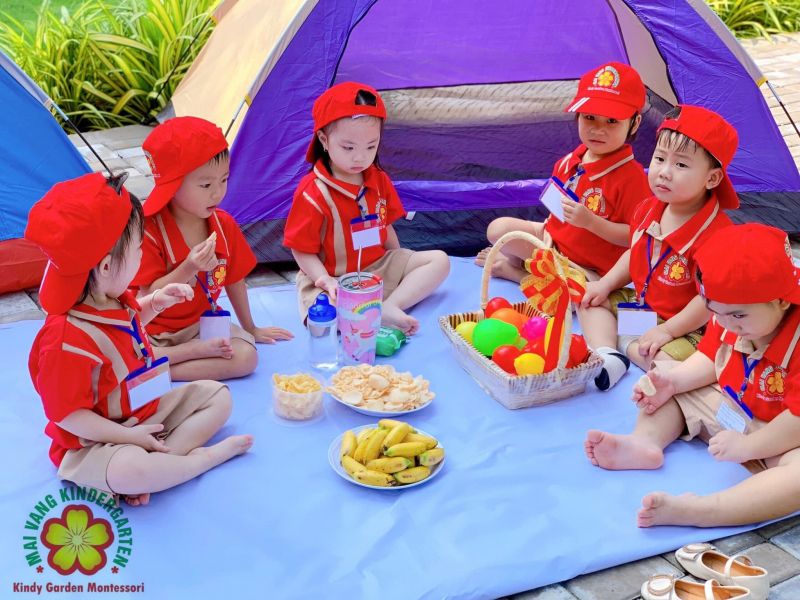 Trường mầm non Mai Vàng