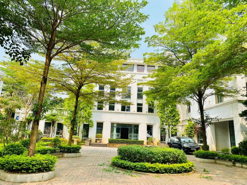 Peace School