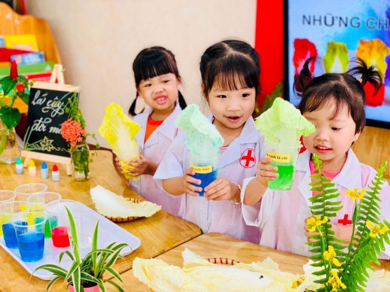 Trường mầm non Phương Anh