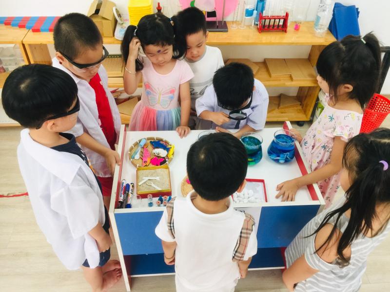 Trường Mầm non Quốc tế Thiên Thần Nhỏ đang vô cùng thích thú ngắm nhìn đại dương thu nhỏ với vô vàng câu hỏi vì sao