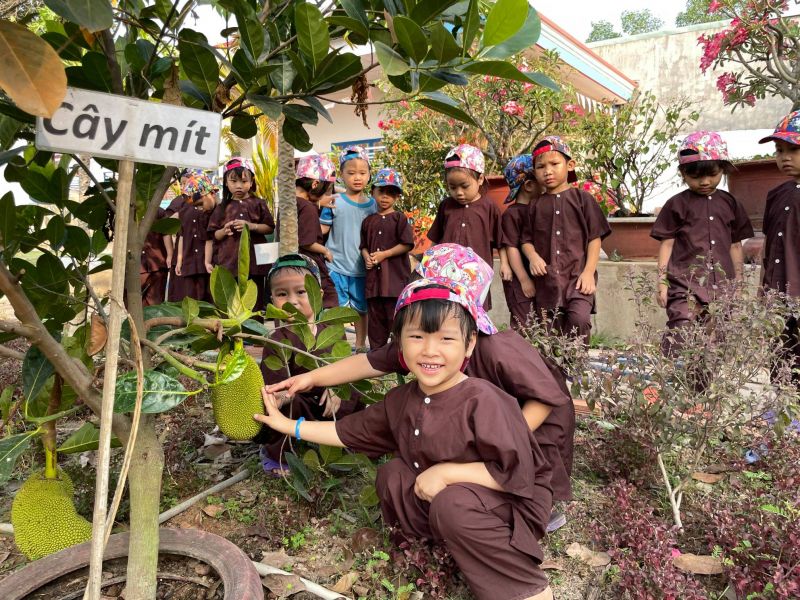 Trường Mầm non Vàng Anh
