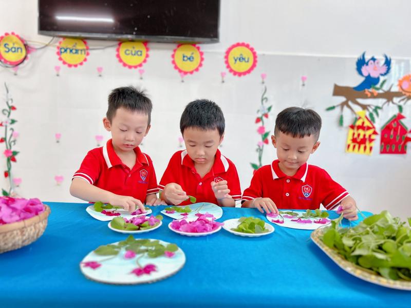 Trường Mầm non Việt Anh