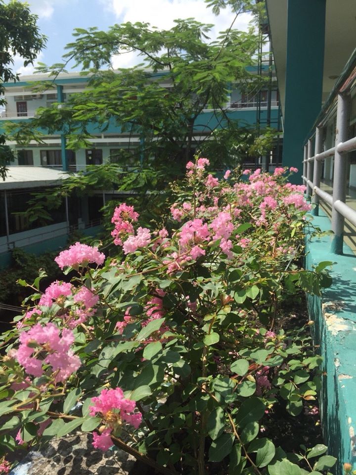 ﻿﻿Trường nội trú Hồng Đức