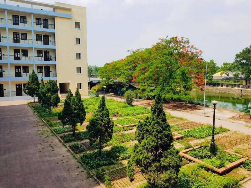 Trường phổ thông liên cấp Đào Duy Từ