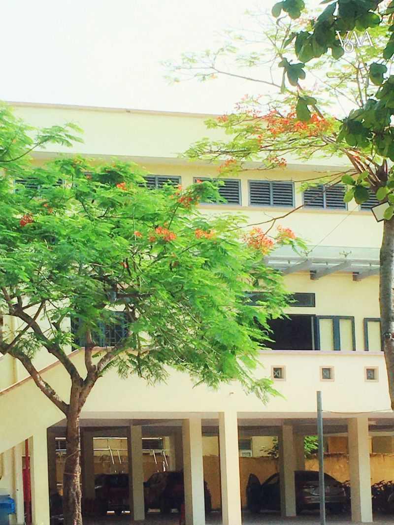 Trường THCS Mê Linh