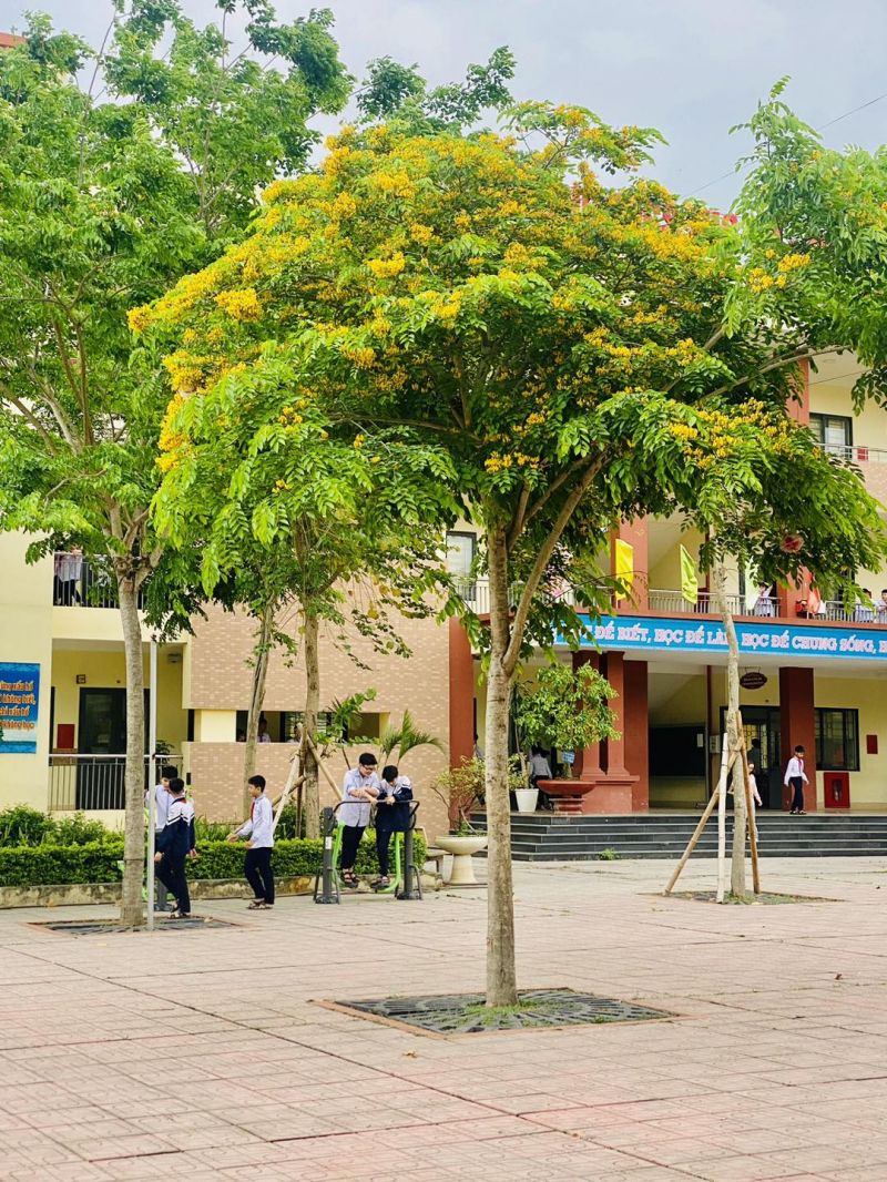 Trường THCS Thọ An