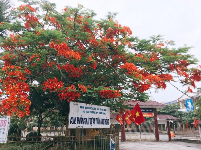 Trường THPT C Kim Bảng