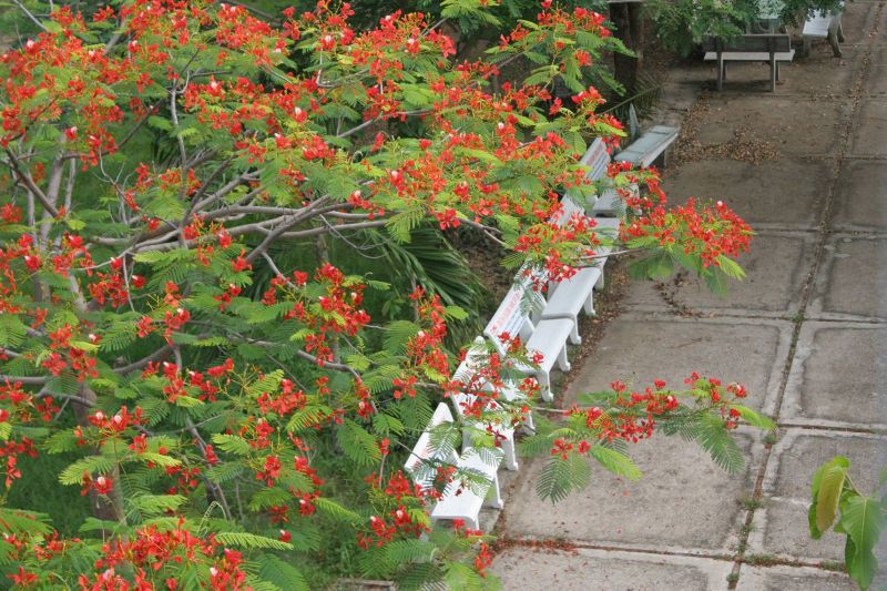 Trường THPT Chu Văn An