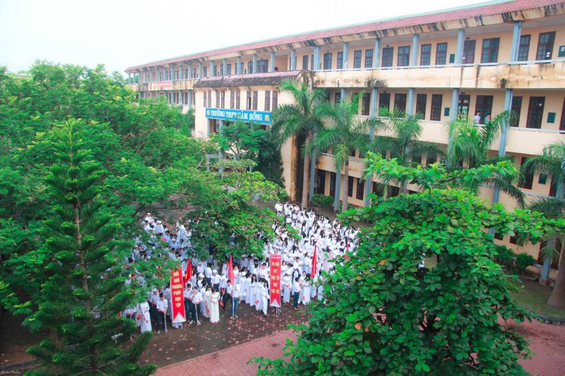 Trường THPT Hàm Rồng
