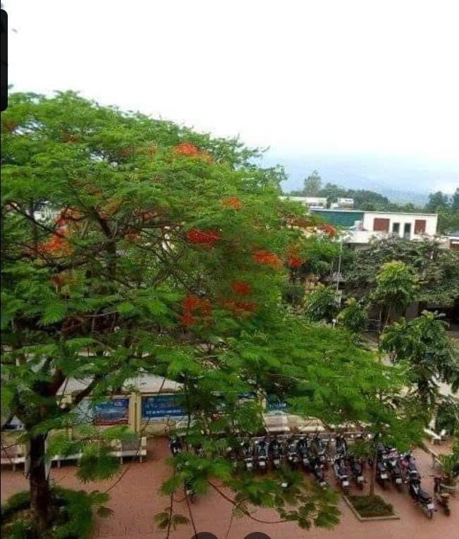 Trường THPT Lộc Bình