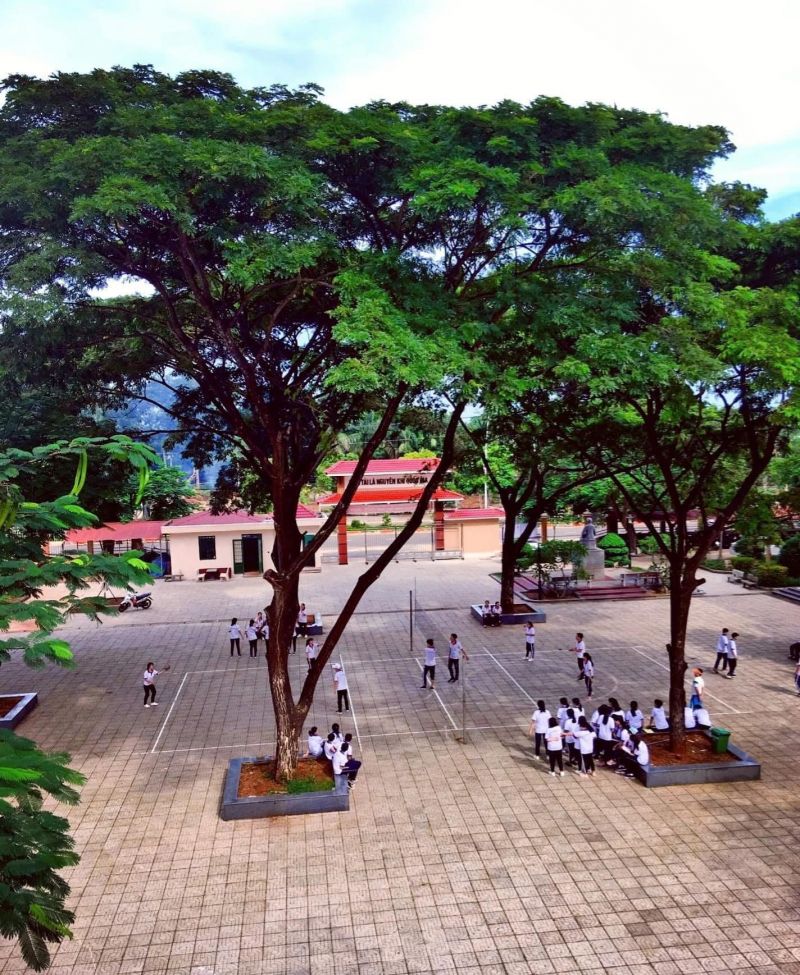 Trường THPT Nguyễn Du
