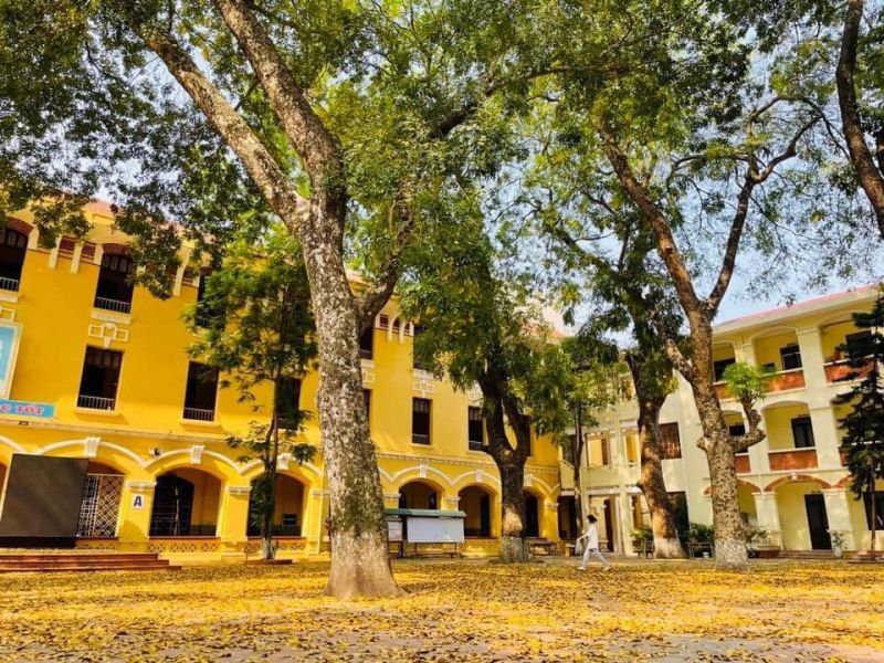 Bài văn kể về một việc em đã làm khiến bố mẹ vui lòng hay nhất số  10