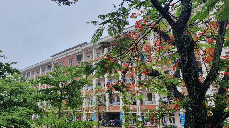 Trường THPT Quảng Oai