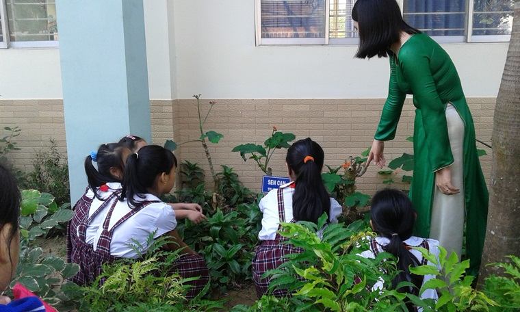 Các bạn học sinh tham quan thực tế ngoài vườn trường