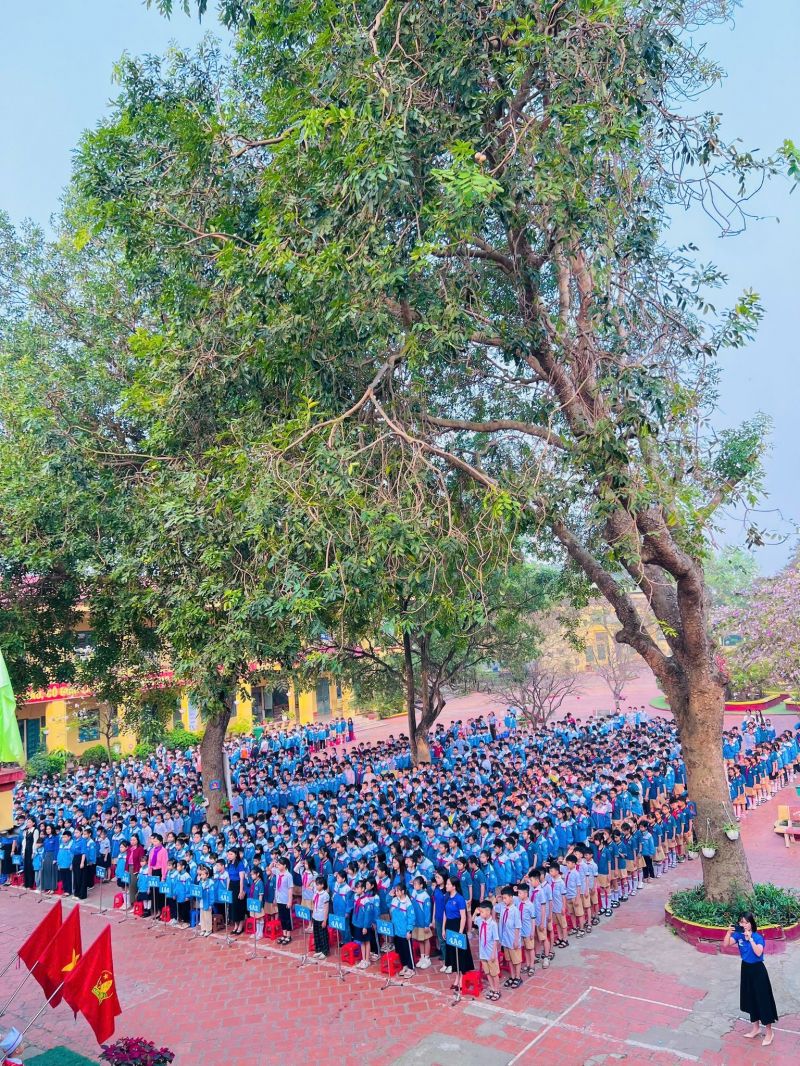 Trường Tiểu học Phú Cường