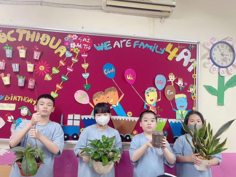 Trường tiểu học Tô Hiến Thành