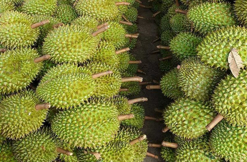 Truyện cười giao thông số 6