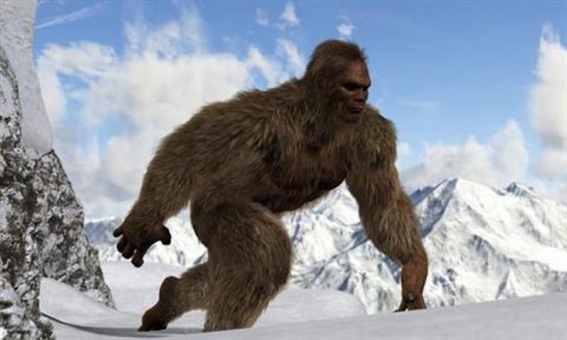 Yeti trong tiếng Nepal có nghĩa là người tuyết