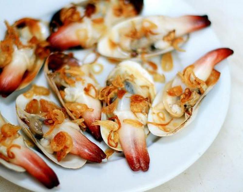 Tu Hài Cô Tô