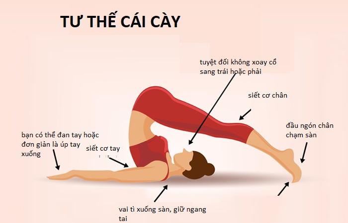 Tư thế cái cày