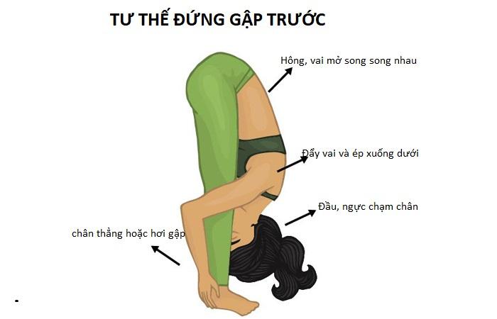 Tư thế đứng gập người