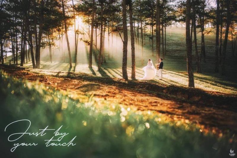 TuArt Wedding