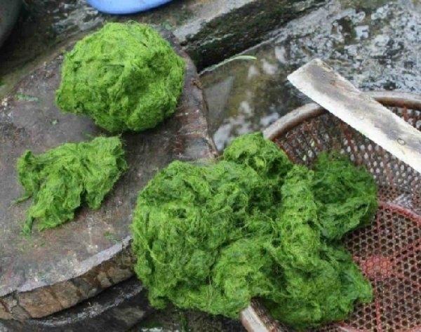 Rêu đá ở Tây Bắc