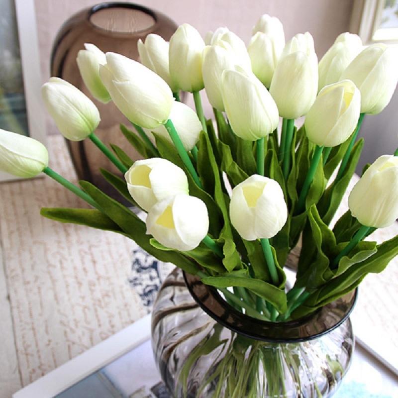 Tulip trắng