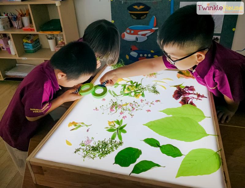 Twinkle House International Pre-school