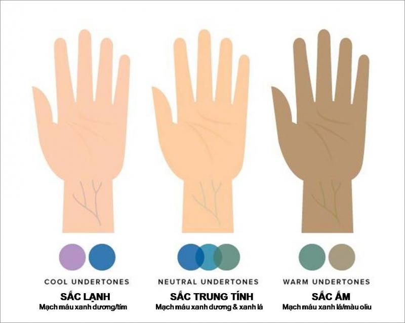 Cách xác định undertone