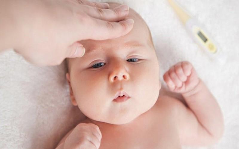 Uống nước cỏ nhọ nồi để hạ sốt cho bé