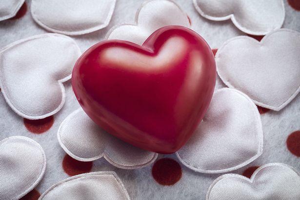 Valentine Vui Vẻ