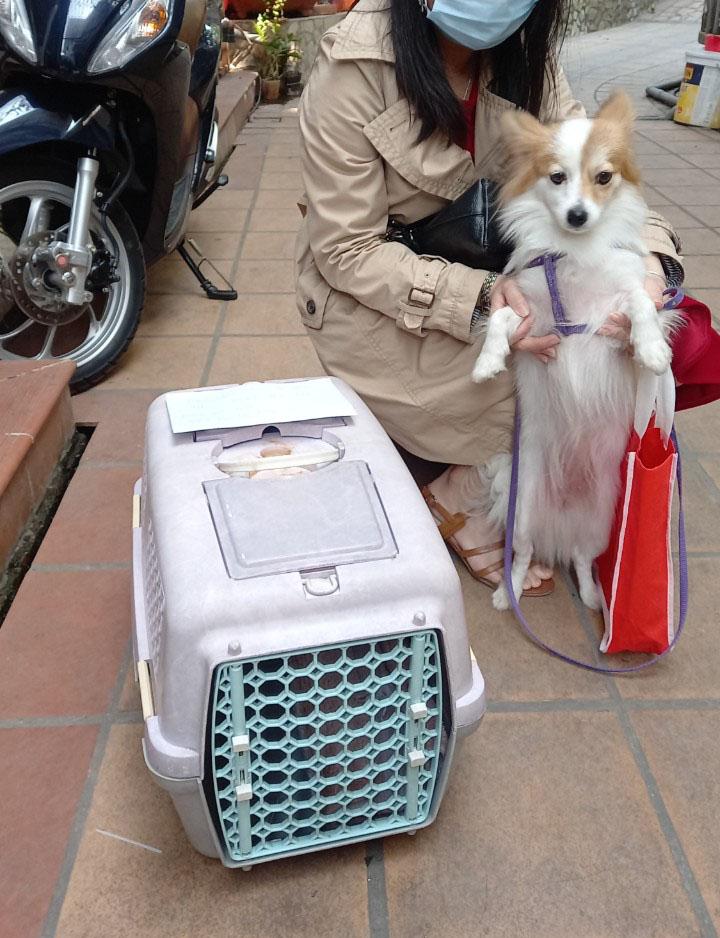 Vận chuyển thú cưng Mr. Sơn