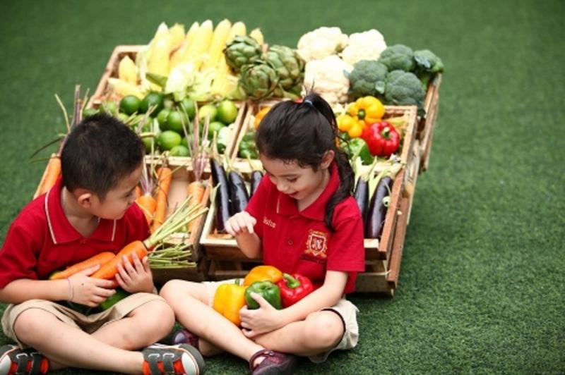 Bạn có thể cho con đi mua sắm cùng và thực hiện các phép tính nhẩm nhanh