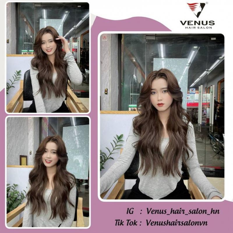 Venus Hair Salon