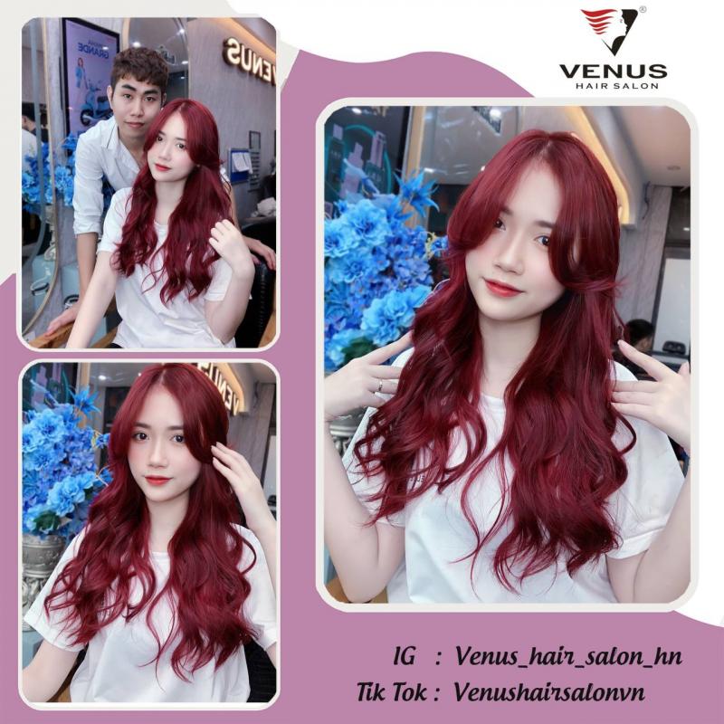 Venus Hair Salon