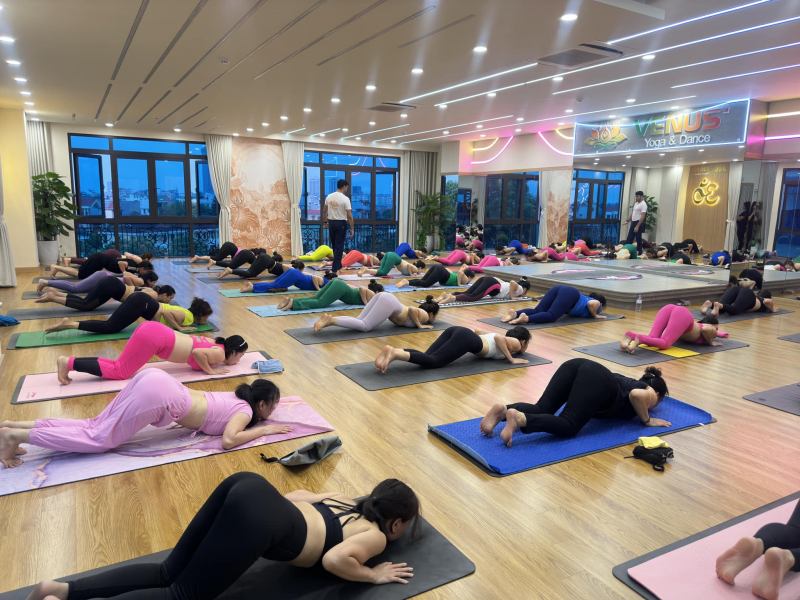 Venus’ Yoga & Dance