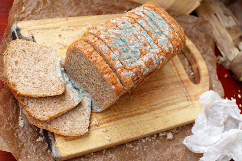 Nấm mốc ở bánh mì