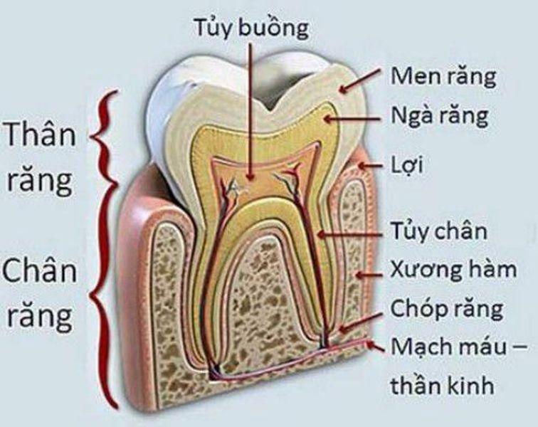 Ảnh minh họa (Nguồn Internet)