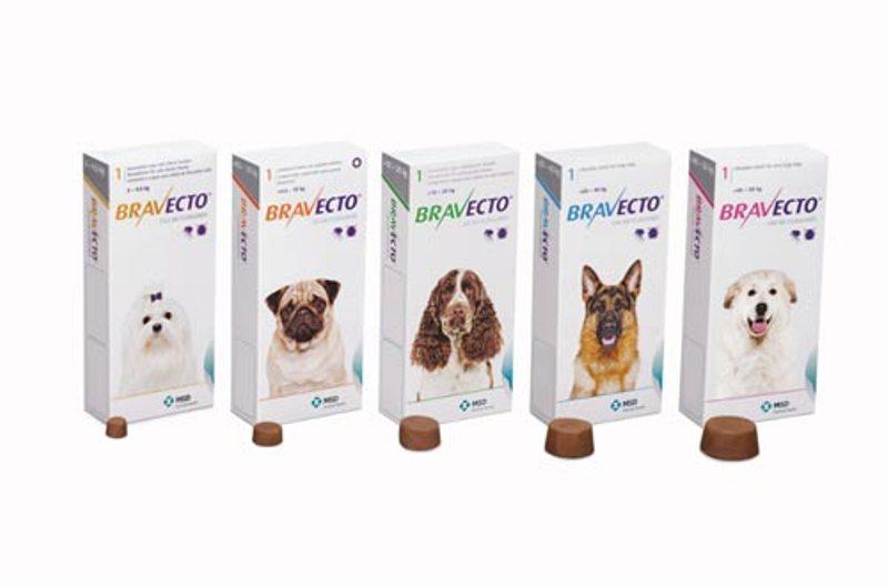 Thuốc Bravecto – dạng viên nhai