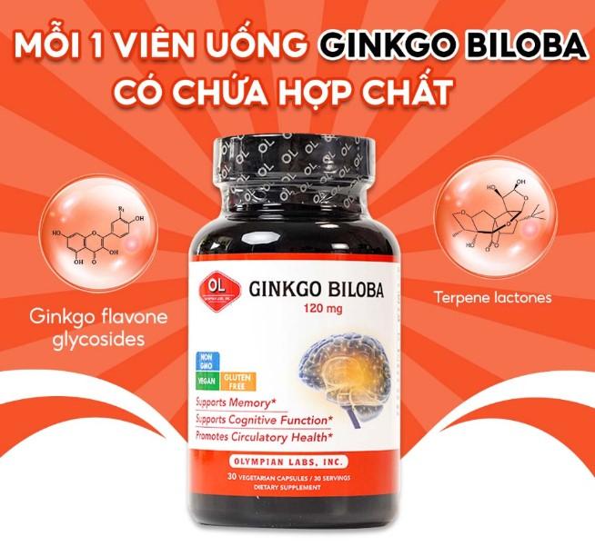 Ginkgo Biloba 120mg của Olympian Labs