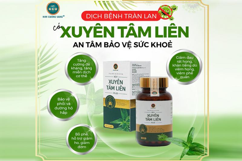 Viên uống bổ phổi Xuyên Tâm Liên
