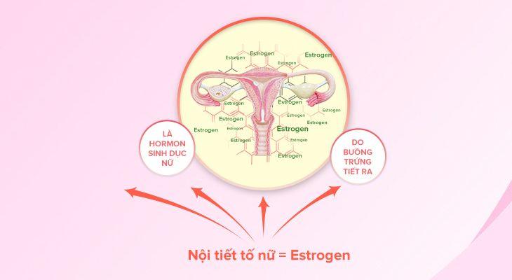 Viên uống đẹp da, tăng nội tiết tố nữ Skindiva EUCARE bổ sung isoflavon, collagen, vitamin E C giảm nám sạm da - 30 viên