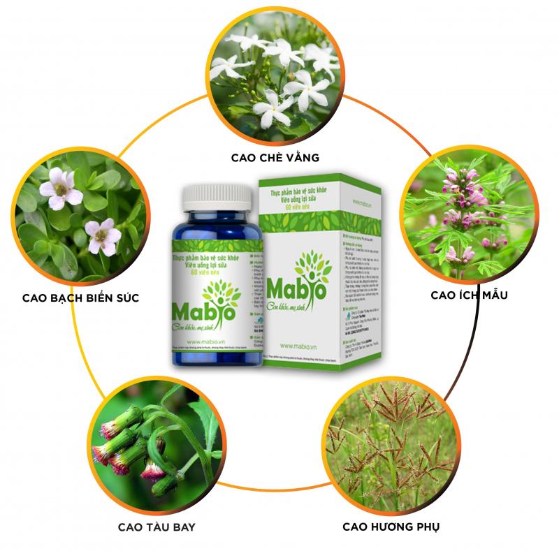 Viên uống lợi sữa Mabio