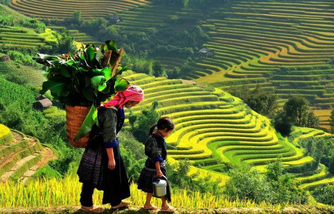 Bà mẹ Việt Bắc