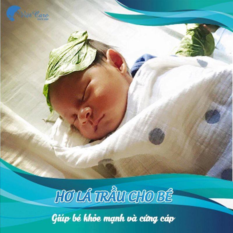 Hơ lá trầu cho bé