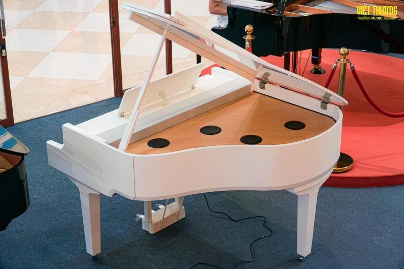 Việt Thương Music (Hoàng Huy Music)