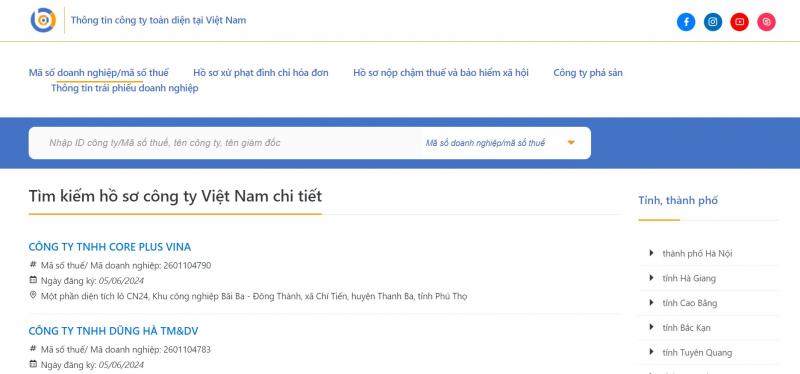vietnamcompanycheck.com