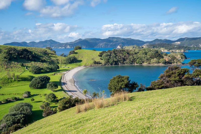 Vịnh đảo New Zealand