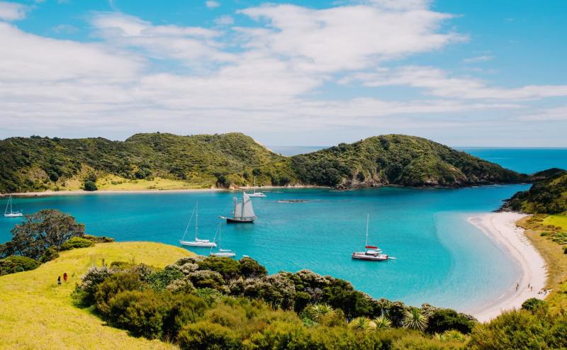 Vịnh biển New Zealand